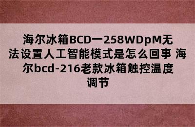 海尔冰箱BCD一258WDpM无法设置人工智能模式是怎么回事 海尔bcd-216老款冰箱触控温度调节